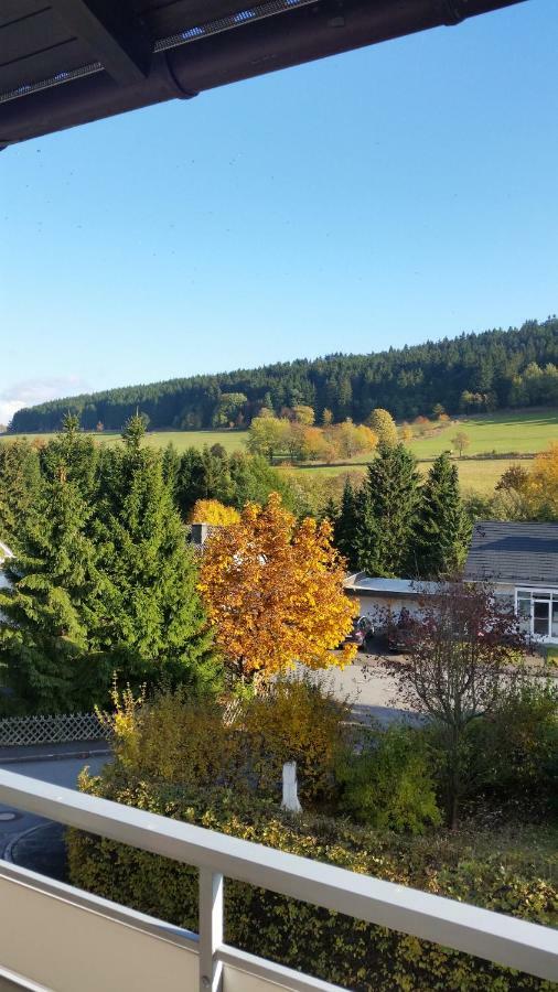 Fewos 4-Jahreszeiten Willingen  Esterno foto