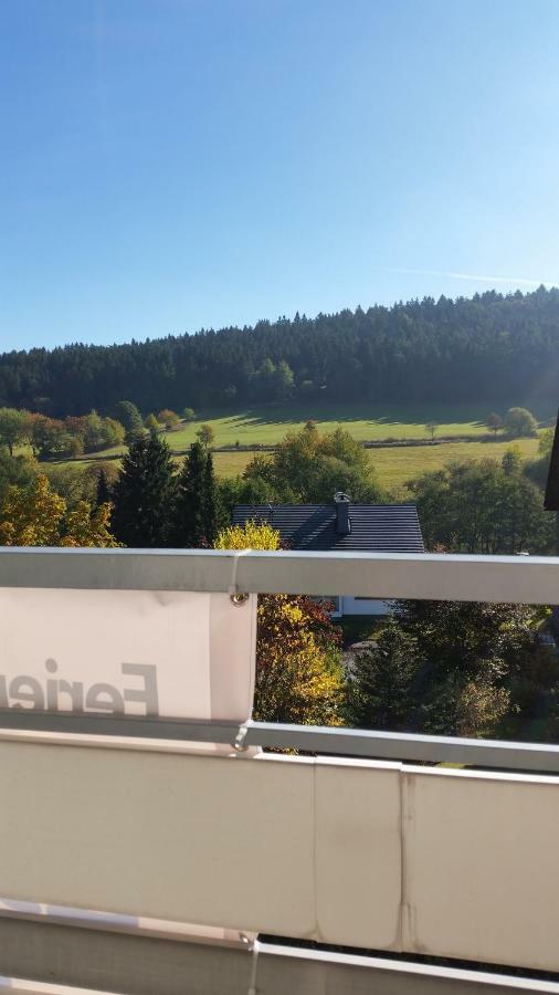 Fewos 4-Jahreszeiten Willingen  Esterno foto