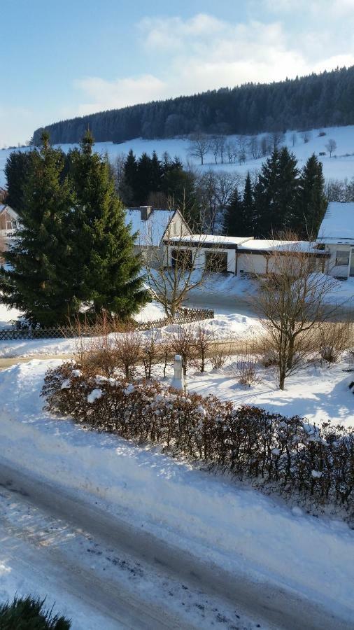 Fewos 4-Jahreszeiten Willingen  Esterno foto