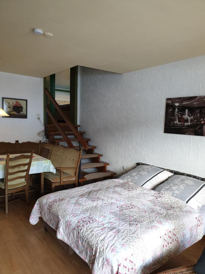 Fewos 4-Jahreszeiten Willingen  Esterno foto