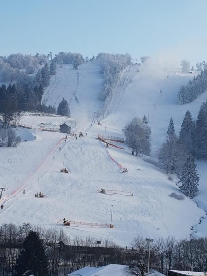 Fewos 4-Jahreszeiten Willingen  Esterno foto