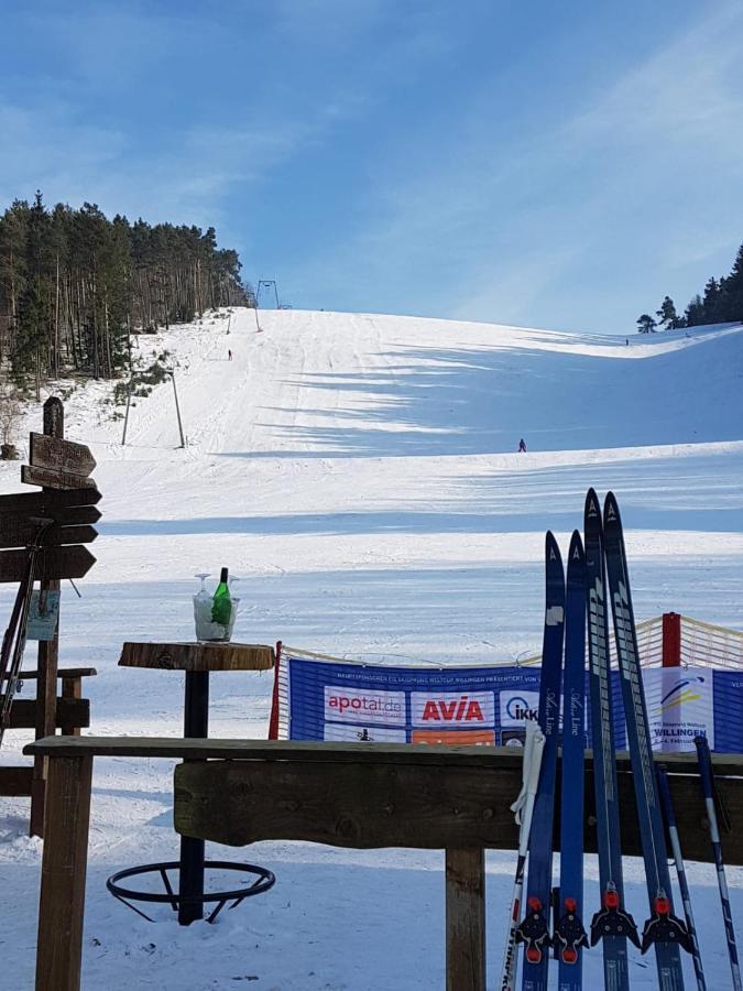 Fewos 4-Jahreszeiten Willingen  Esterno foto