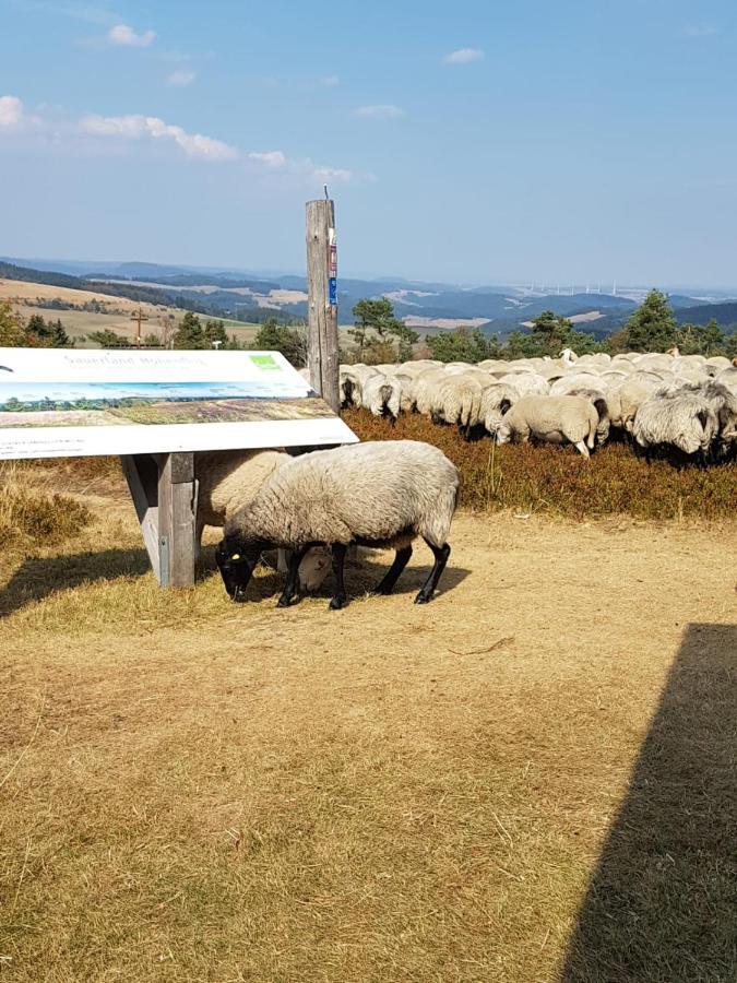 Fewos 4-Jahreszeiten Willingen  Esterno foto